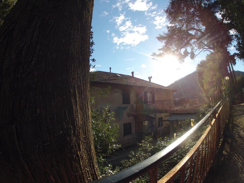 B&B Il Cedro Genua Exterior foto